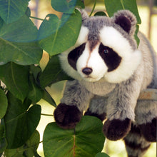 Load image into Gallery viewer, raccoon plushie as. your cute friend today!