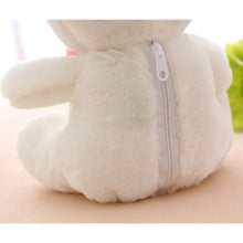 Load image into Gallery viewer, Cute Luminating/ Recording Teddy Bear Plushie 22CM