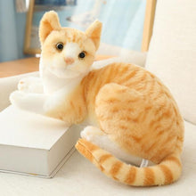 Load image into Gallery viewer, Real Cat Plushie