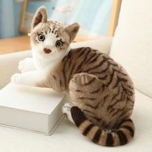 Load image into Gallery viewer, Real Cat Plushie