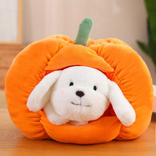 Load image into Gallery viewer, Cute Pumpkin Hideaway Bunny &amp; Cat Plushie 23cm/ 30cm