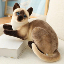 Load image into Gallery viewer, Real Cat Plushie