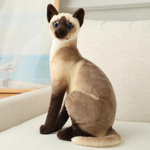 Load image into Gallery viewer, Real Cat Plushie