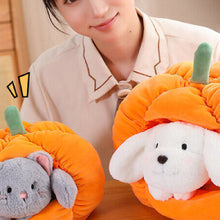 Load image into Gallery viewer, Cute Pumpkin Hideaway Bunny &amp; Cat Plushie 23cm/ 30cm