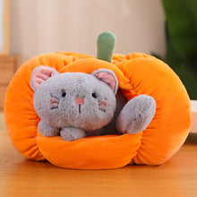 Load image into Gallery viewer, Cute Pumpkin Hideaway Bunny &amp; Cat Plushie 23cm/ 30cm