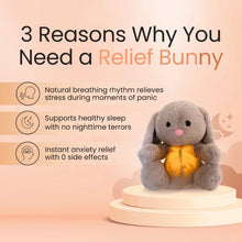 Load image into Gallery viewer, Cute Breathing Relief Bunny Soothing Baby Plushie