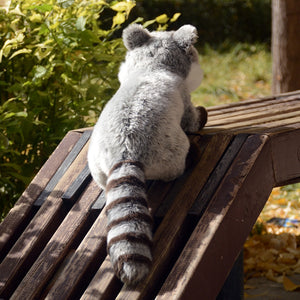 Cute Grey Raccoon Plushie 31CM