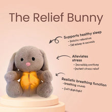 Load image into Gallery viewer, Cute Breathing Relief Bunny Soothing Baby Plushie