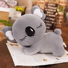 Load image into Gallery viewer, Cute koala plushie wants to study too