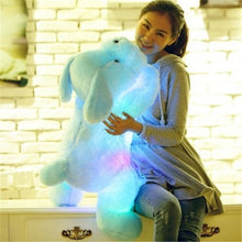 Load image into Gallery viewer, Grab this cute glowing dog plushie for your dog-lovers friends/kids! This is not your original plushie - it accompanies you and bring brightness to your life!