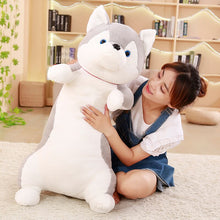 Load image into Gallery viewer, How adorable this cute husky plushie is? Would you take him home?