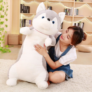 How adorable this cute husky plushie is? Would you take him home?
