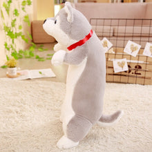 Load image into Gallery viewer, We have cute husky plushie of all size! Get one that suits your preference today!