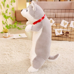 We have cute husky plushie of all size! Get one that suits your preference today!
