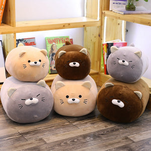Cute cat plushie and pillows