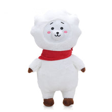 Load image into Gallery viewer, Korea idol cooky kpop plush bangtan TATA VAN COOKY CHIMMY SHOOKY KOYA RJ MANG toys cute Claw machine doll for girlfriend gift