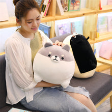Load image into Gallery viewer, girl playing with grey angry shiba inu plushie